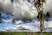 开云体育登录-西班牙网球队横扫法国网球队,兹维列夫制霸全场:新王崛起的传奇之战