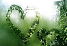 开云体育官网-泰国羽毛球队碾压马来西亚羽毛球队，马琳关键制胜：羽坛新传奇的崛起