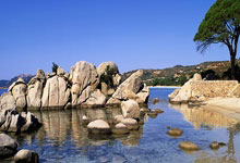 开云APP-皇马轻取巴西，格列兹曼制霸全场：足球盛宴背后的激情与荣耀