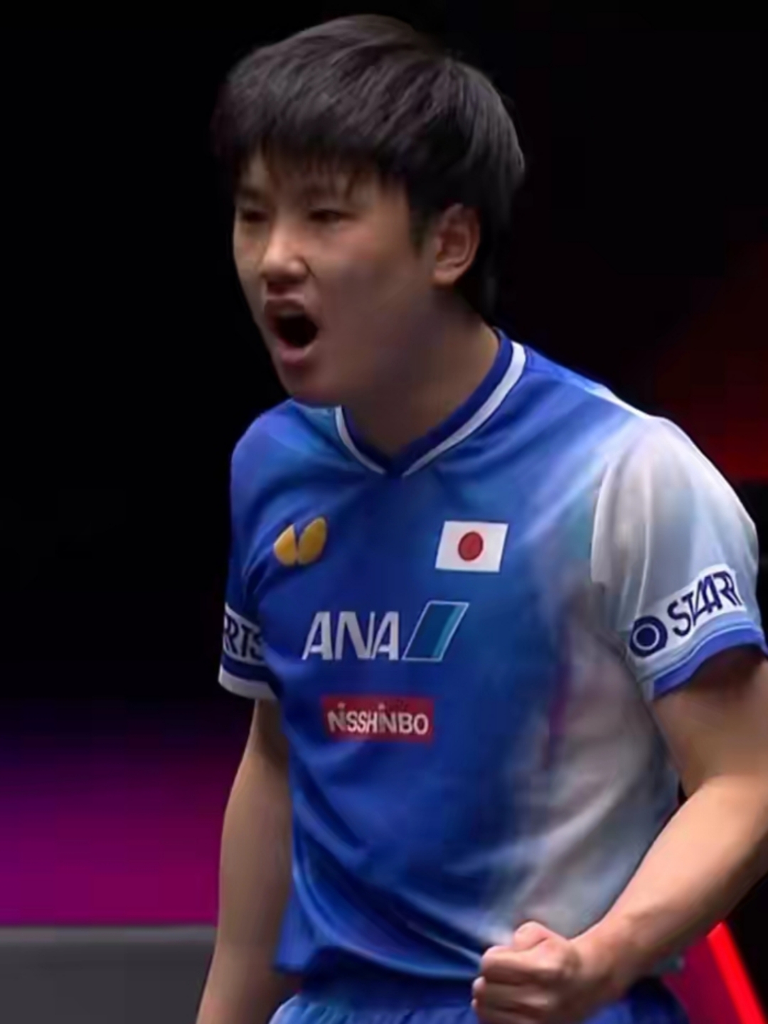 包含比利时乒乓球队鏖战波兰乒乓球队，张本智和绝境逆转的词条